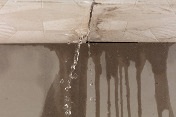 Professional Burst Pipe Cleanup technician working in Williamstown, WV